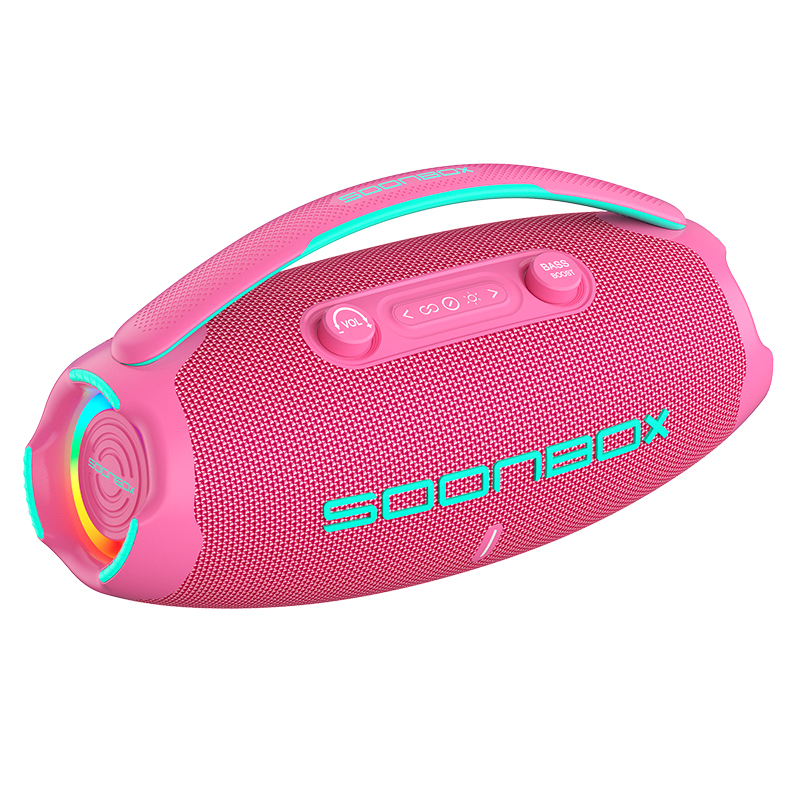 SOONBOX-S5302 Protable Speaker with Handle and Adjustable Bass